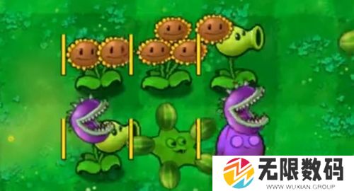 植物大战僵尸嫁接版