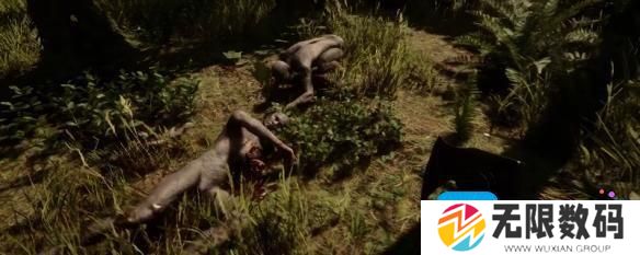 森林之子后续更新内容是什么