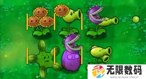 植物大战僵尸嫁接版