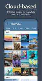 飞机中文版app下载（Telegram）