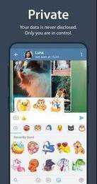 飞机中文版app下载（Telegram）
