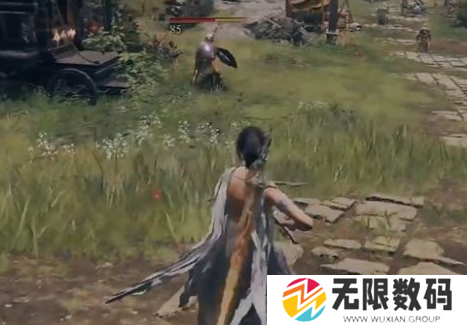 《艾尔登法环》士兵弩怎样获取-《艾尔登法环》士兵弩获取方法 - 你知道吗