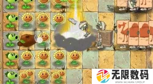植物大战僵尸2安卓版