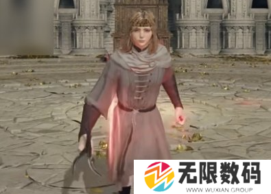 《艾尔登法环》红色屎壳郎有奖励吗-《艾尔登法环》红色屎壳郎是否掉落奖励 - 你知道吗