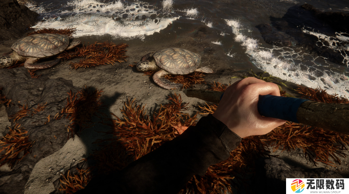 森林之子什么时候出