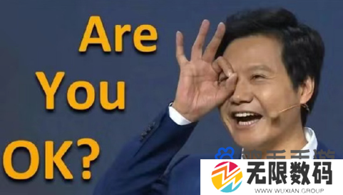 歌手雷军梗的意思介绍