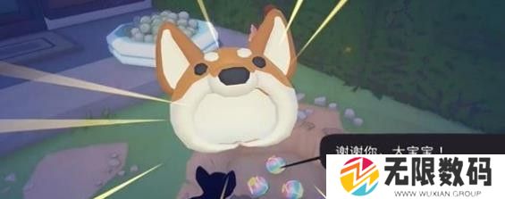 大城小猫2024