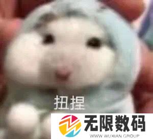 网络用语偷感很重梗的意思介绍