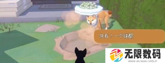 大城小猫2024