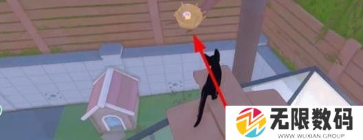 大城小猫2024