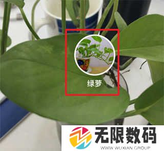 怎么识别图片3