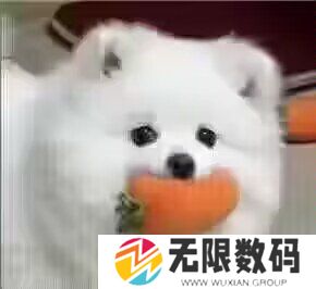 网络用语偷感很重梗的意思介绍