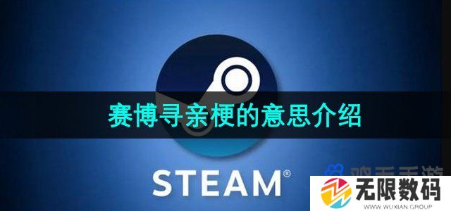 Steam赛博寻亲是什么梗-Steam赛博寻亲梗的意思介绍