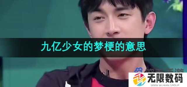 九亿少女的梦是什么意思-林更新九亿少女的梦梗的意思介绍