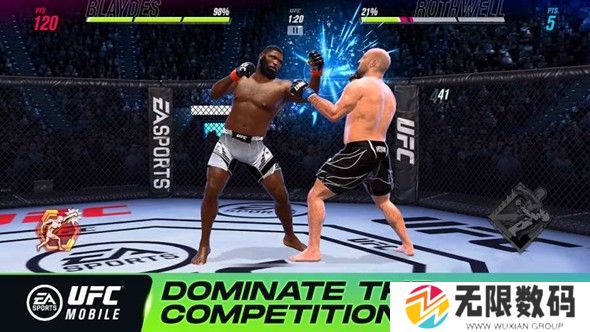 UFC终极格斗冠军2