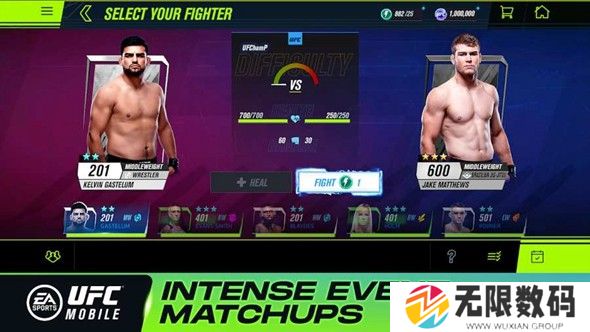 UFC终极格斗冠军2