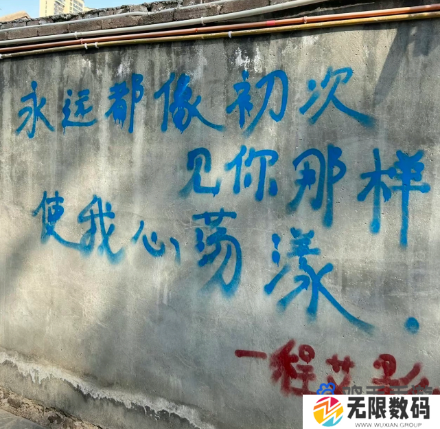 《抖音》这是我的程艾影梗的意思介绍