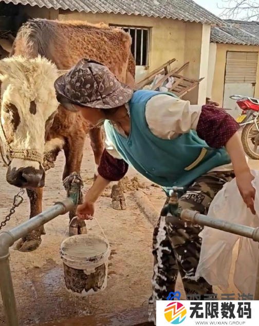 《抖音》小英家的牛梗的意思介绍