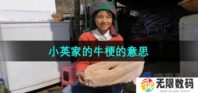 抖音小英家的牛是什么梗-小英家的牛梗的意思介绍