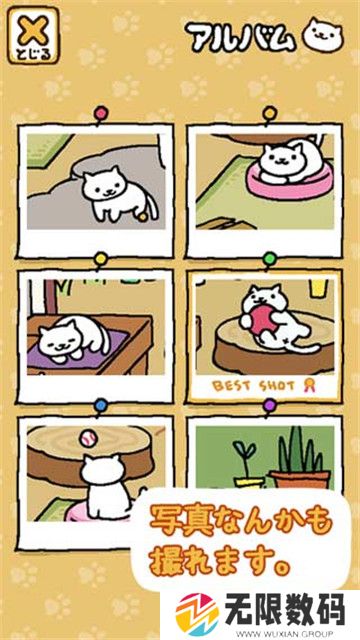 猫咪后院汉化版