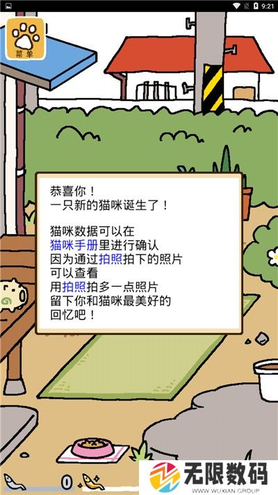 猫咪后院