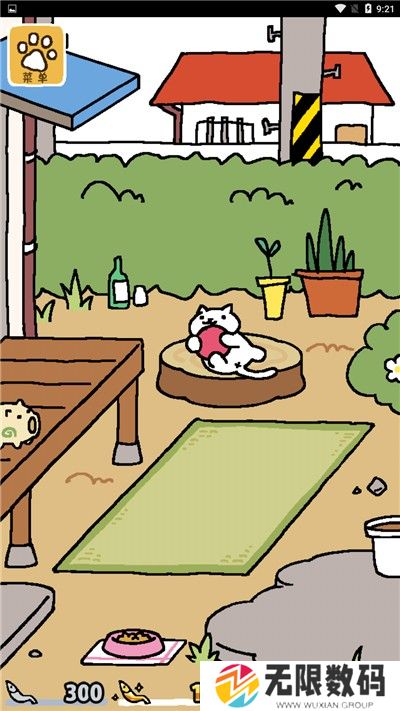 猫咪后院