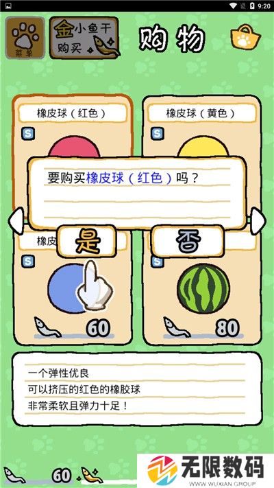 猫咪后院
