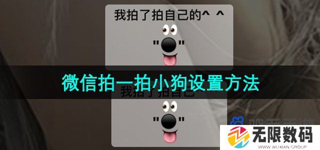 微信拍一拍养小狗怎么弄-拍一拍养小狗设置方法