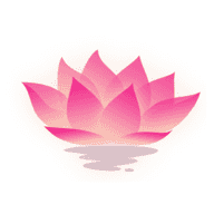 荷花工具箱app