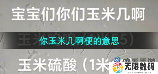 抖音你玉米几啊是什么梗-玉米几梗的意思介绍