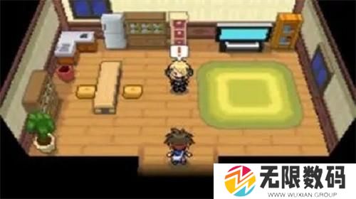 口袋妖怪黑白随机版
