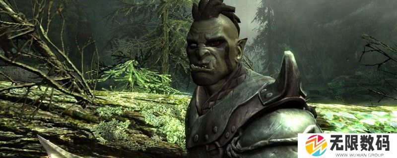 《上古卷轴5：天际》秘籍得到物品是什么