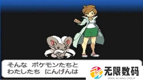 口袋妖怪黑白随机版