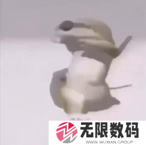 《抖音》无牙仔跳舞梗图表情包分享