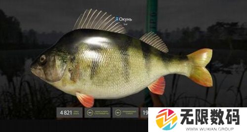 俄罗斯钓鱼4官方最新版本