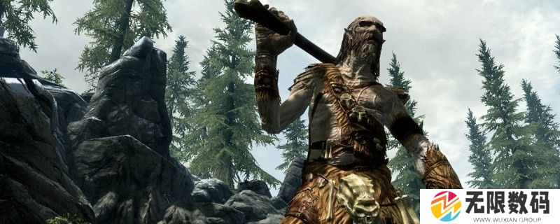 《上古卷轴5：天际》秘籍清除赏金是什么