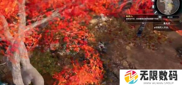 天命奇御2调查紫石英任务怎么做