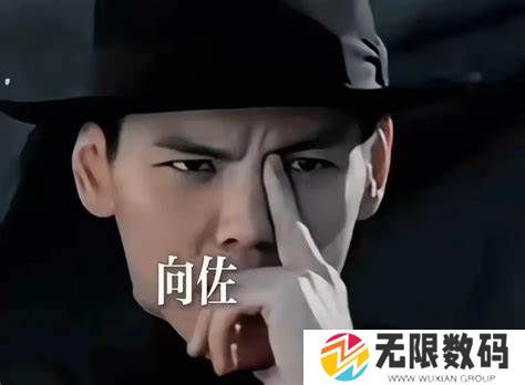 向佐模仿自己摸鼻梁的视频_向佐模仿自己摸鼻梁梗是怎么回事