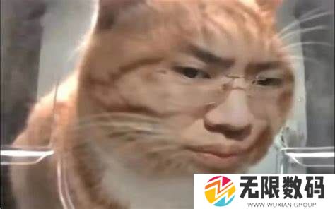 听泉鉴宝新鲜哥图片分享_听泉鉴宝新鲜哥表情包
