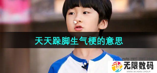 抖音天天跺脚是什么梗-天天跺脚生气梗的意思
