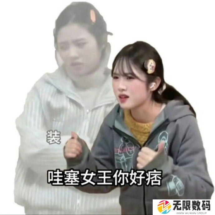 《抖音》女王你好痞梗图表情包分享