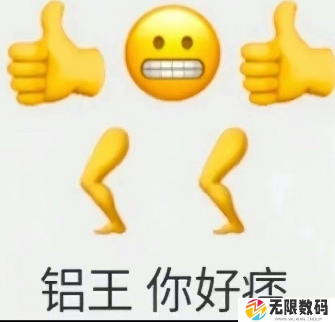 《抖音》女王你好痞梗图表情包分享