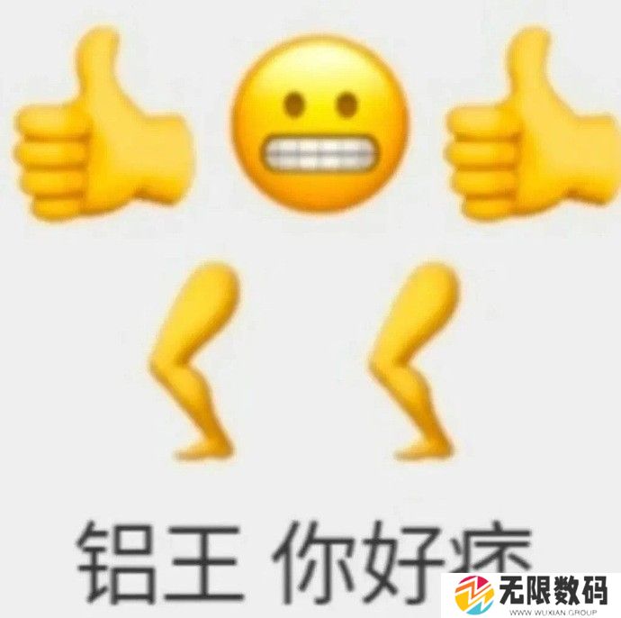《抖音》女王你好痞梗图表情包分享