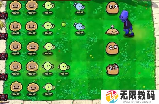 植物大战僵尸幼儿园