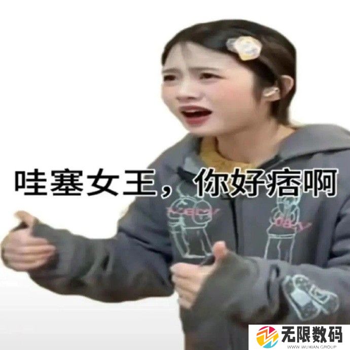 《抖音》女王你好痞梗图表情包分享