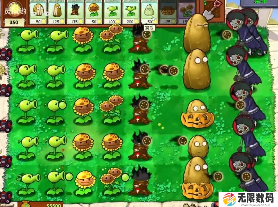 植物大战僵尸火影版