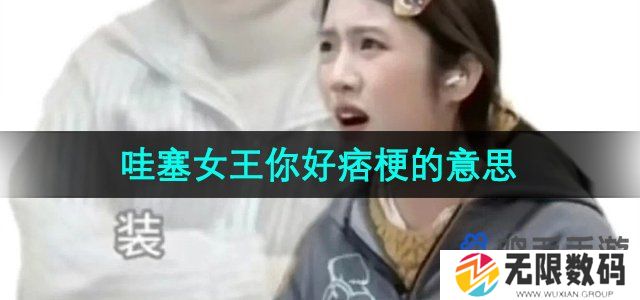 抖音女王你好痞是什么意思-哇塞女王你好痞梗的意思