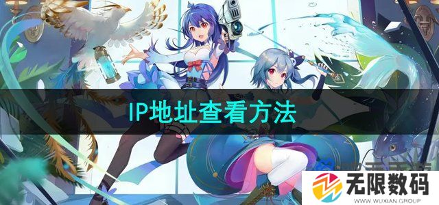 哔哩哔哩IP地址怎么查看-IP地址查看方法