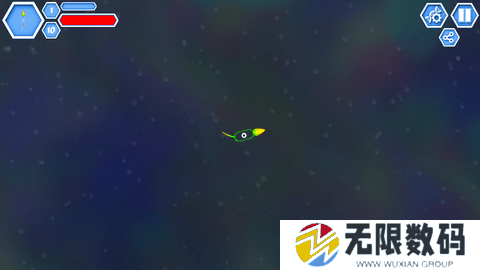 孢子进化