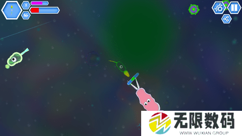 孢子进化